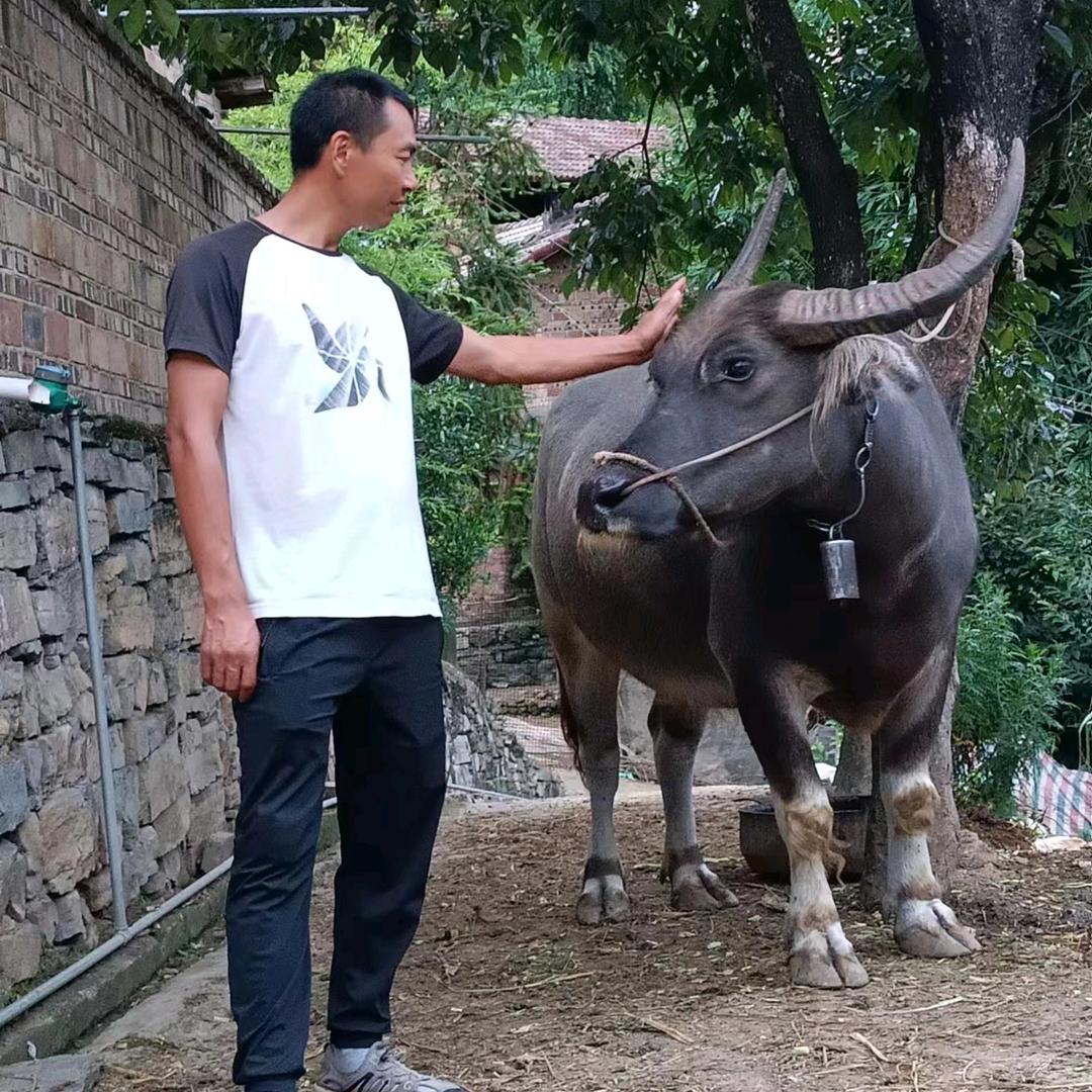 一半清醒一半醉