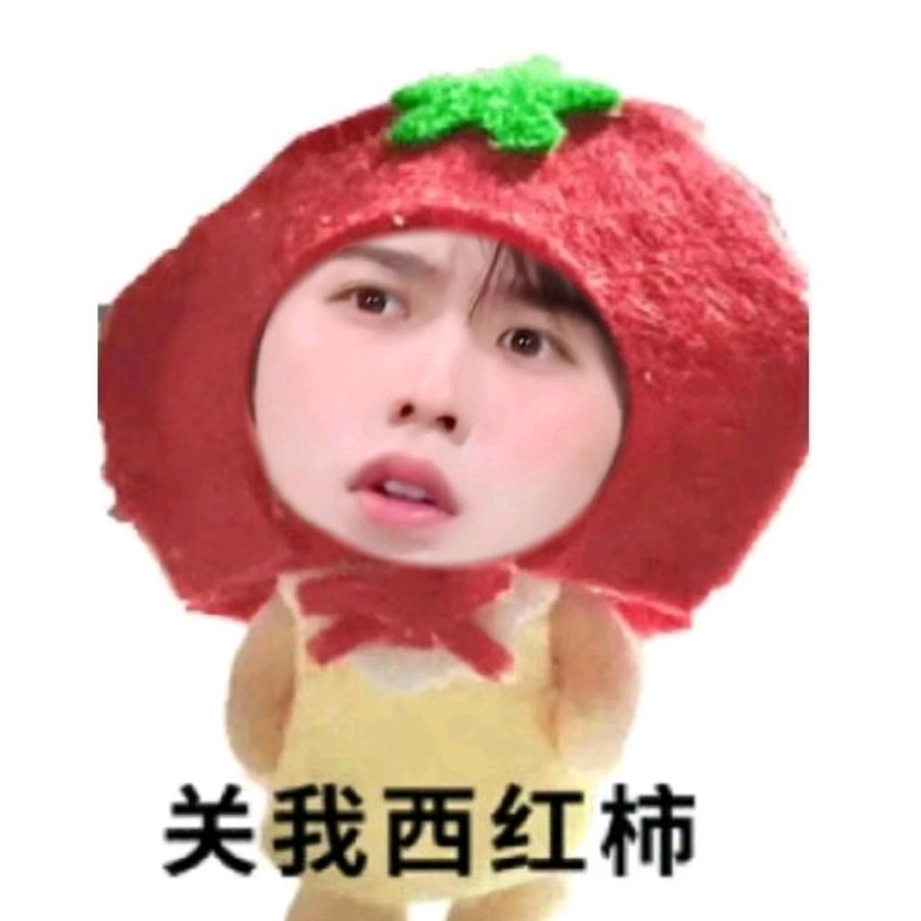 西红柿本柿