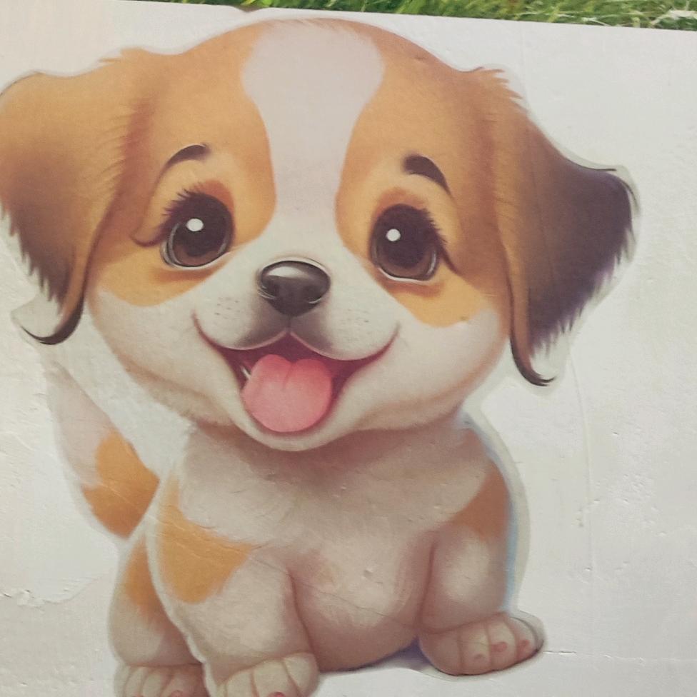 阳光