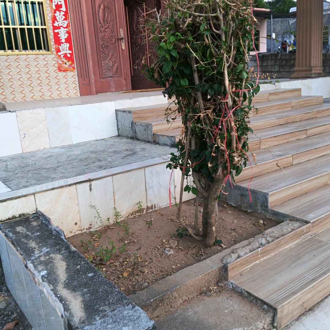 一起走过得青春