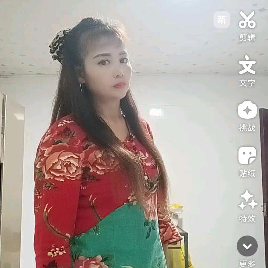 小燕子