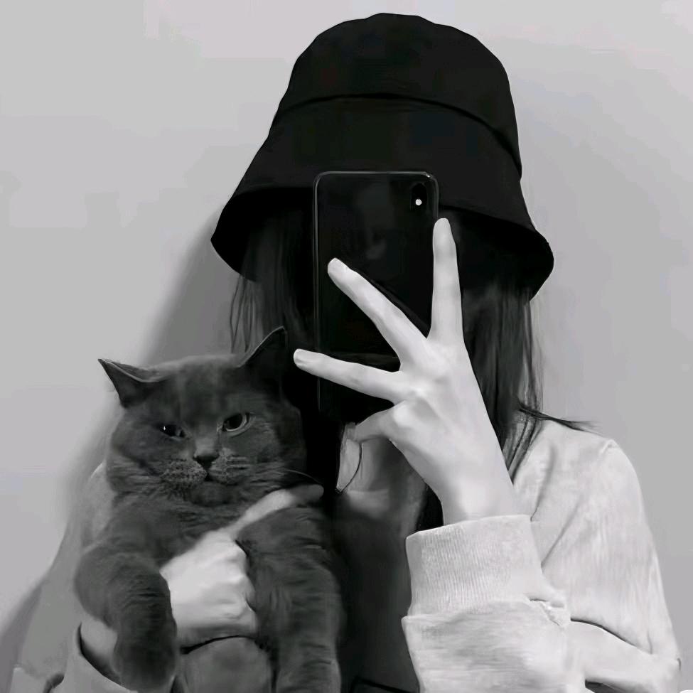 七七小窝