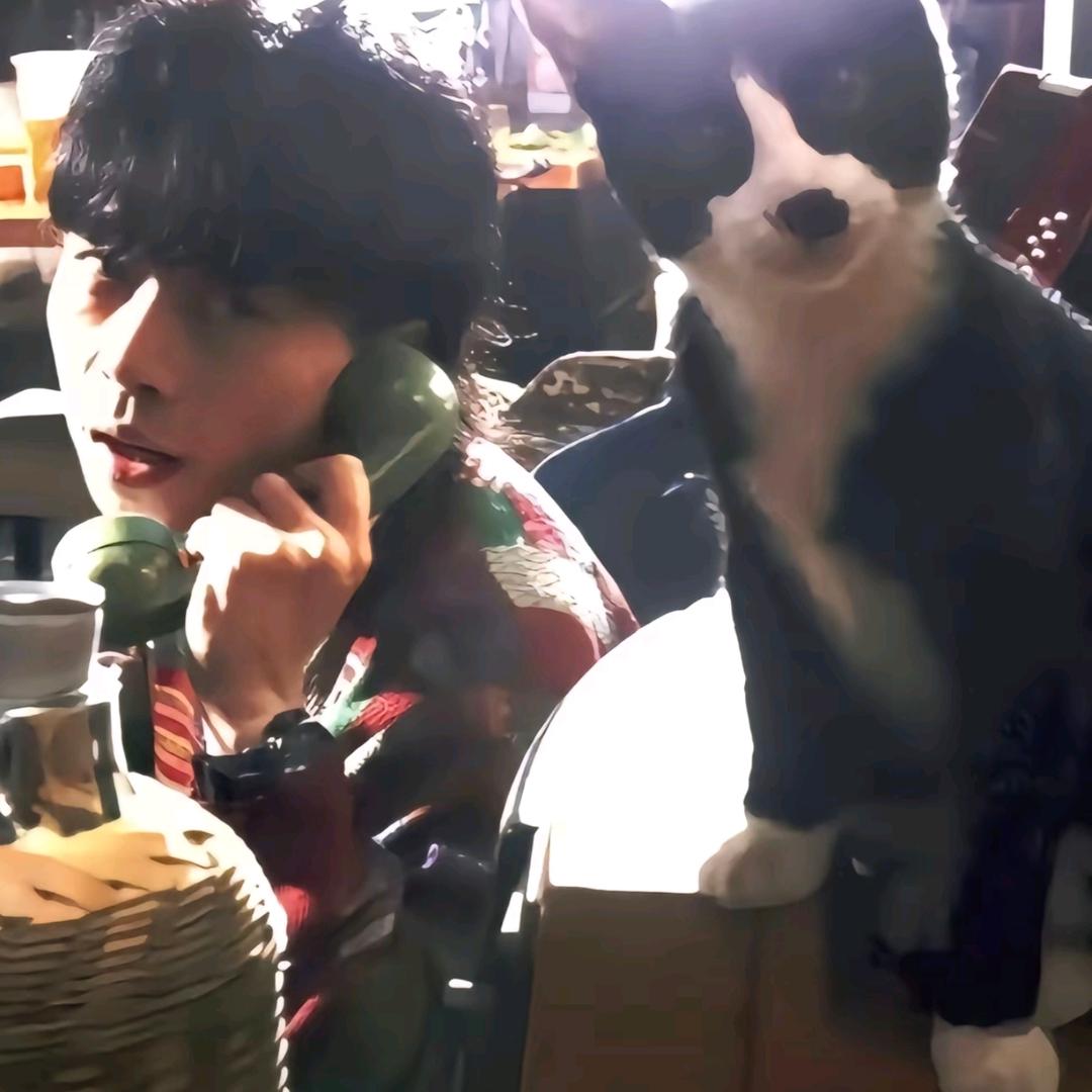 镇平刺猬的小窝