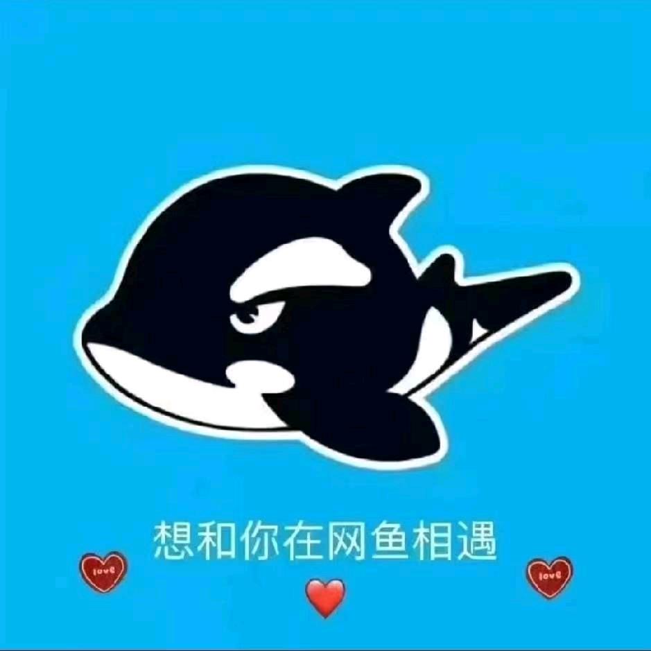 网鱼网咖(普陀桃浦路店)