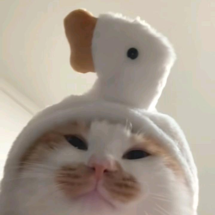 光之轨迹