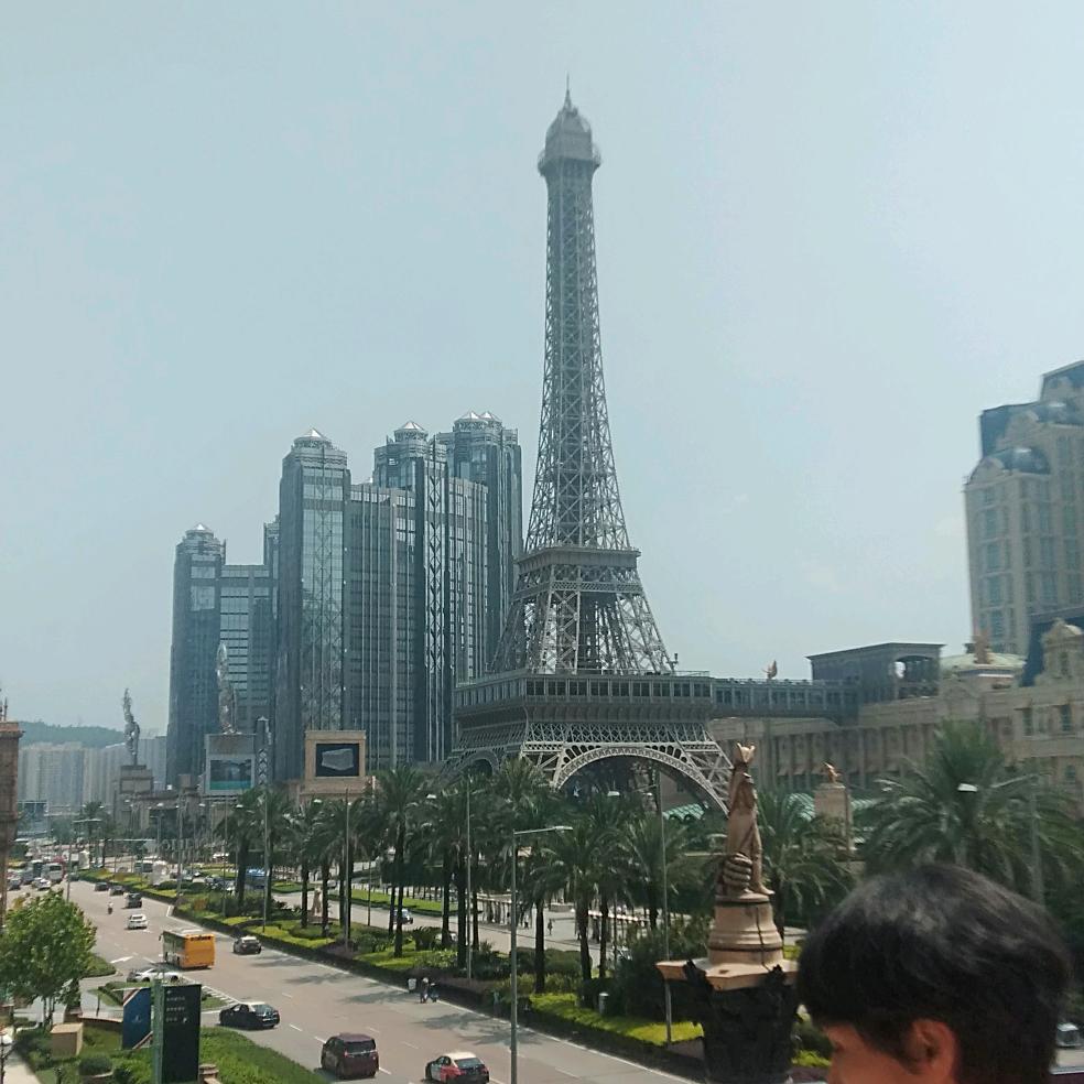 順手牵杨