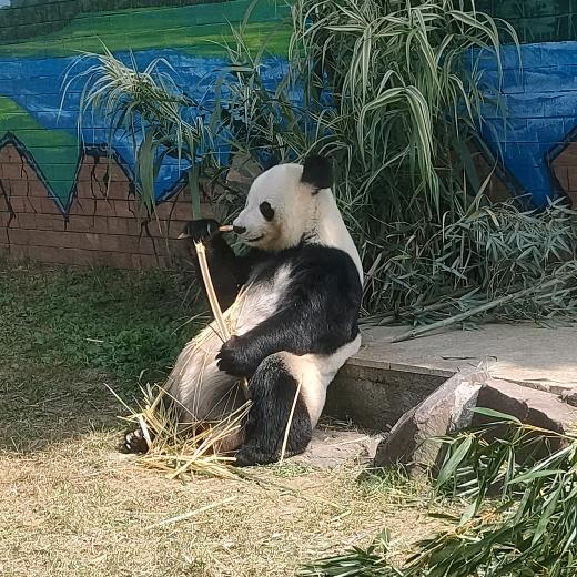 看书健康生活馆