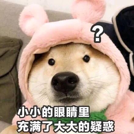 小猫爱吃鱼(៸៸᳐⦁⩊⦁៸៸᳐ )੭
