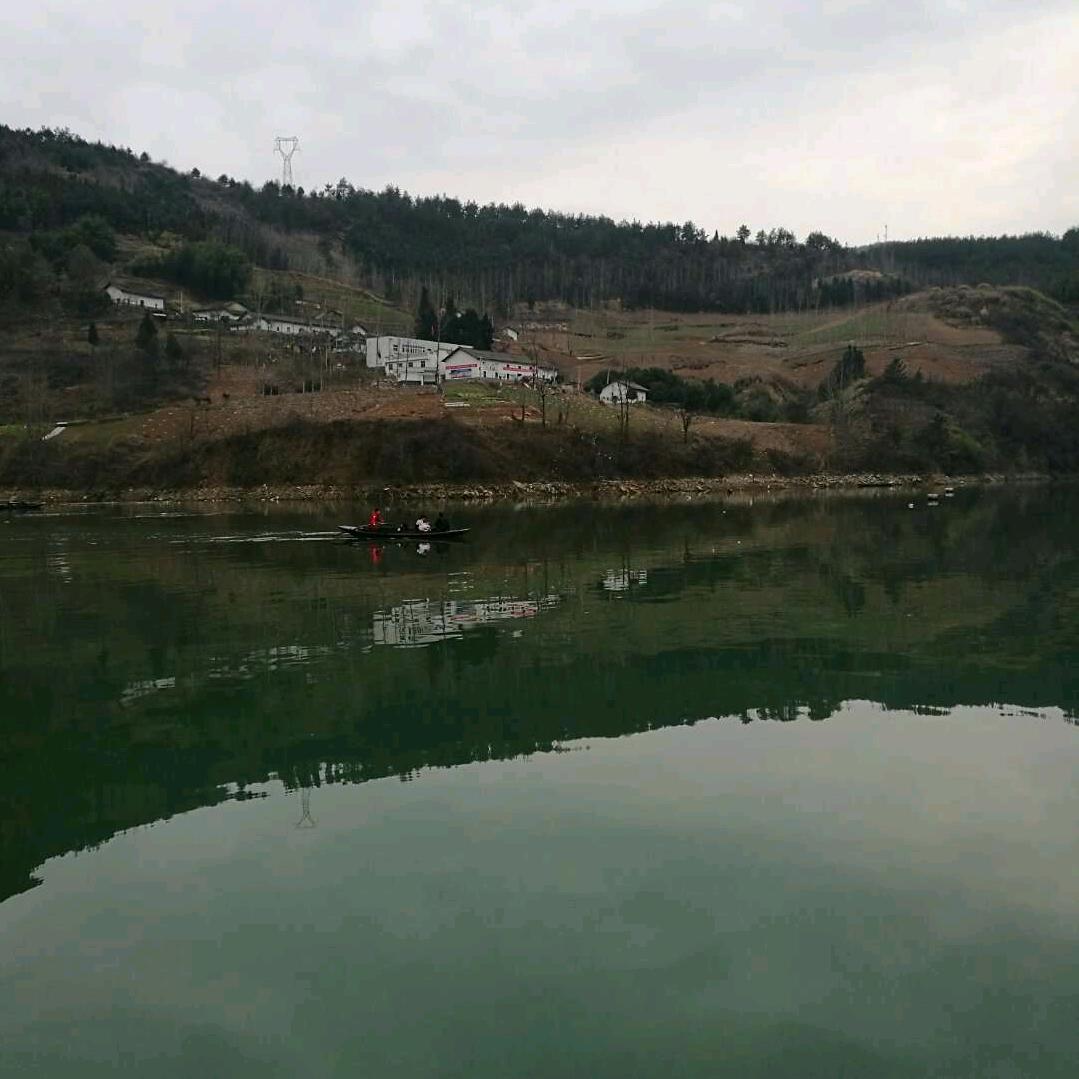 🐺🐺🐺灰太狼