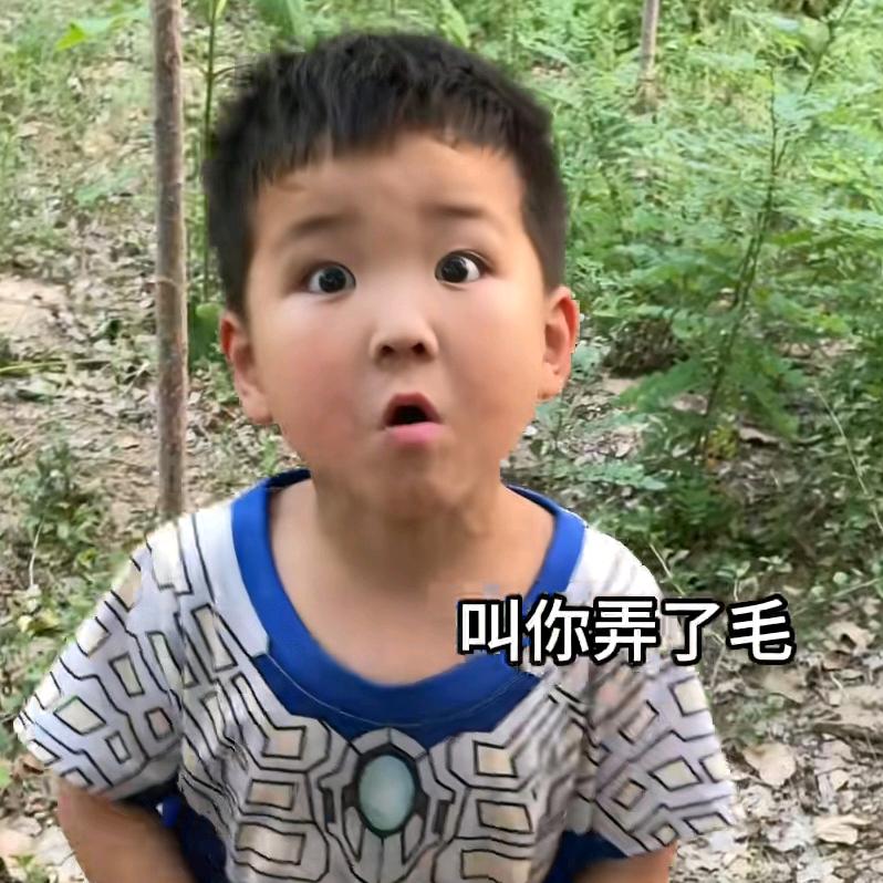 肥而不溺的猫
