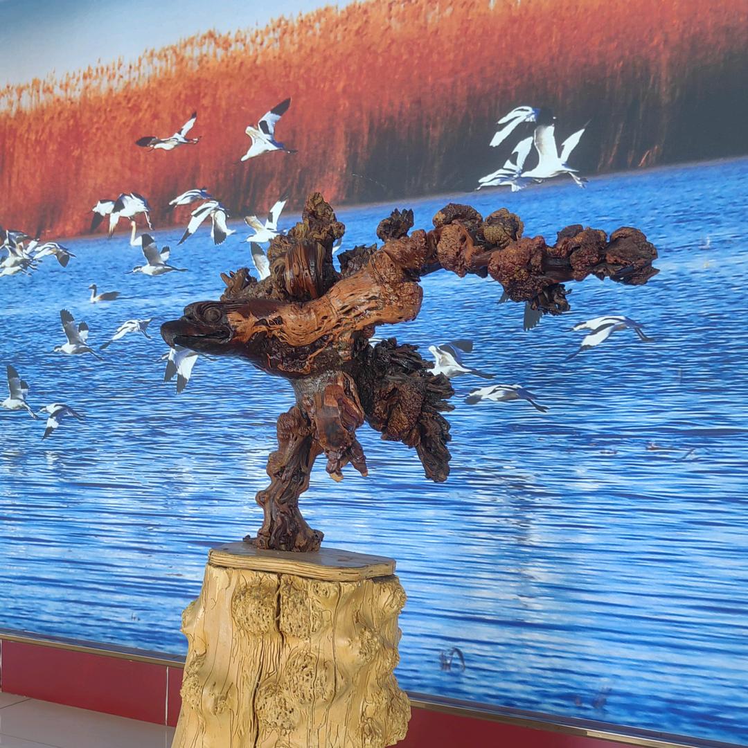 只饮烈酒，不谈往事