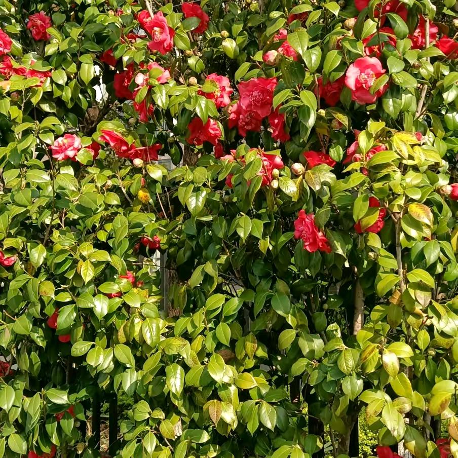 等风等雨只等你！