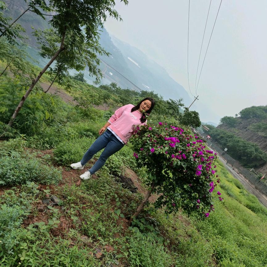雷波脐橙，小陈