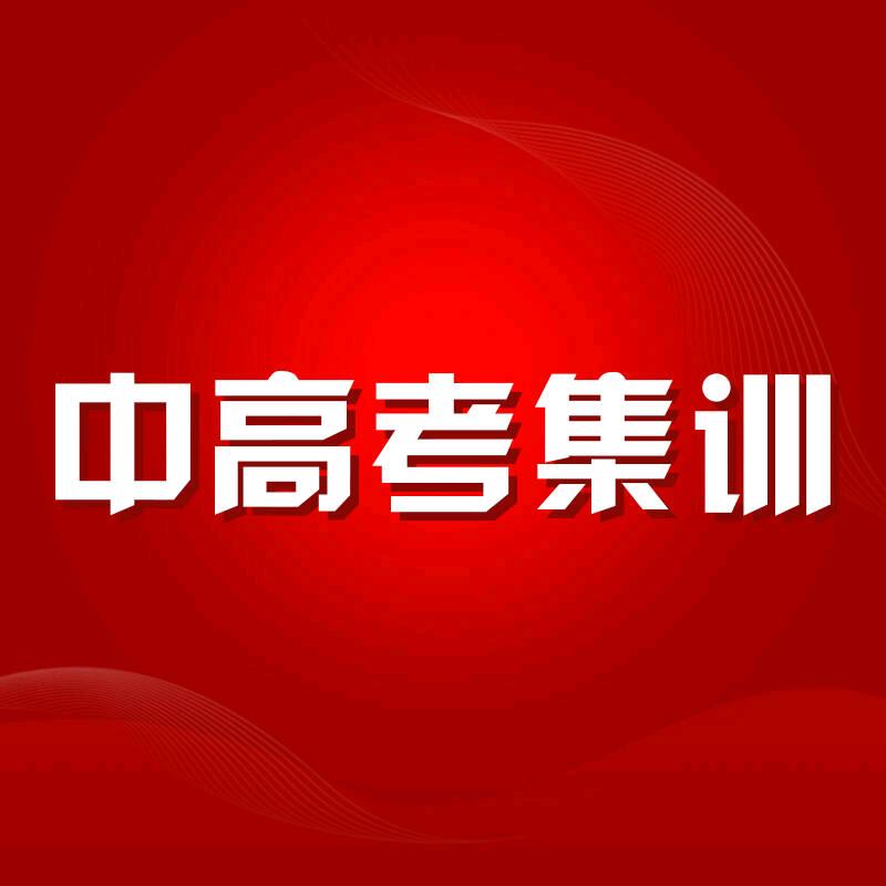 中高考集训营
