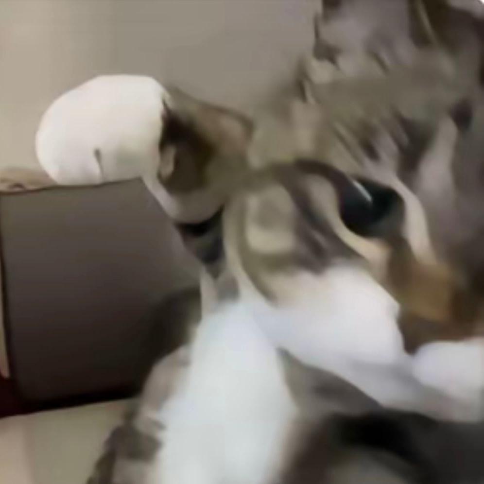 没事的你已经做得很好了不用自责的你很棒的