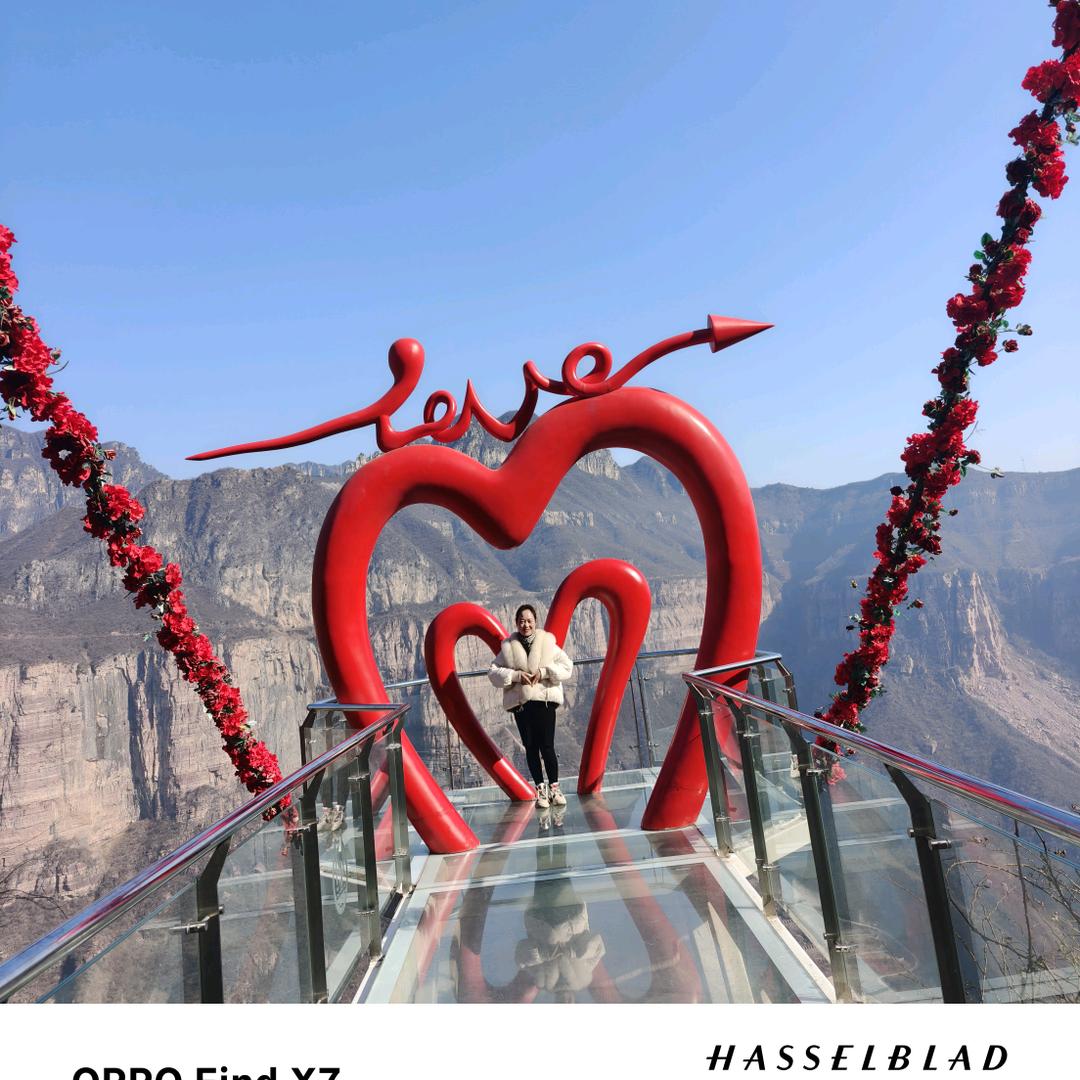 ✧*｡٩(ˊ往后余生ˋ*)و✧*