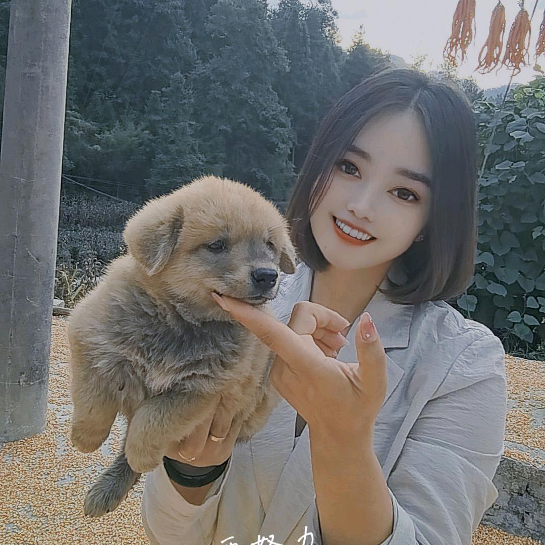 龙里阿尔卑斯系统门窗何艾玲