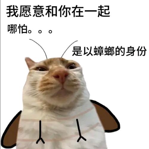 超级无敌大蟑螂