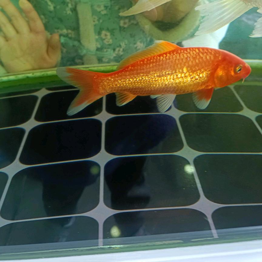 做手工活的三小姐