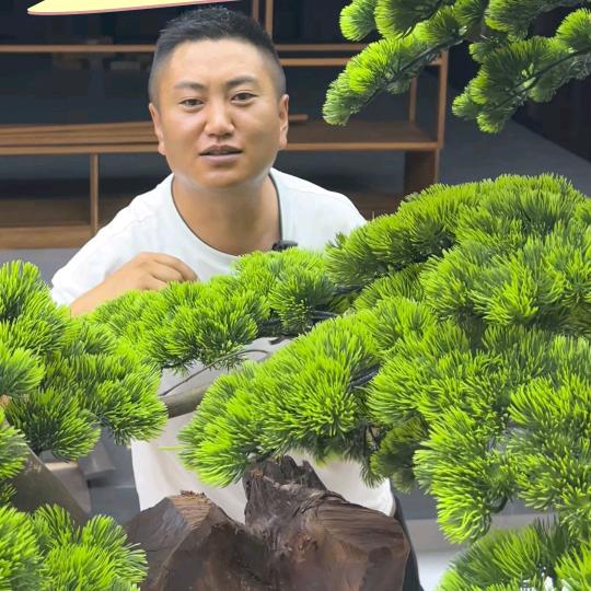 包头全屋定制工厂(阿雷)