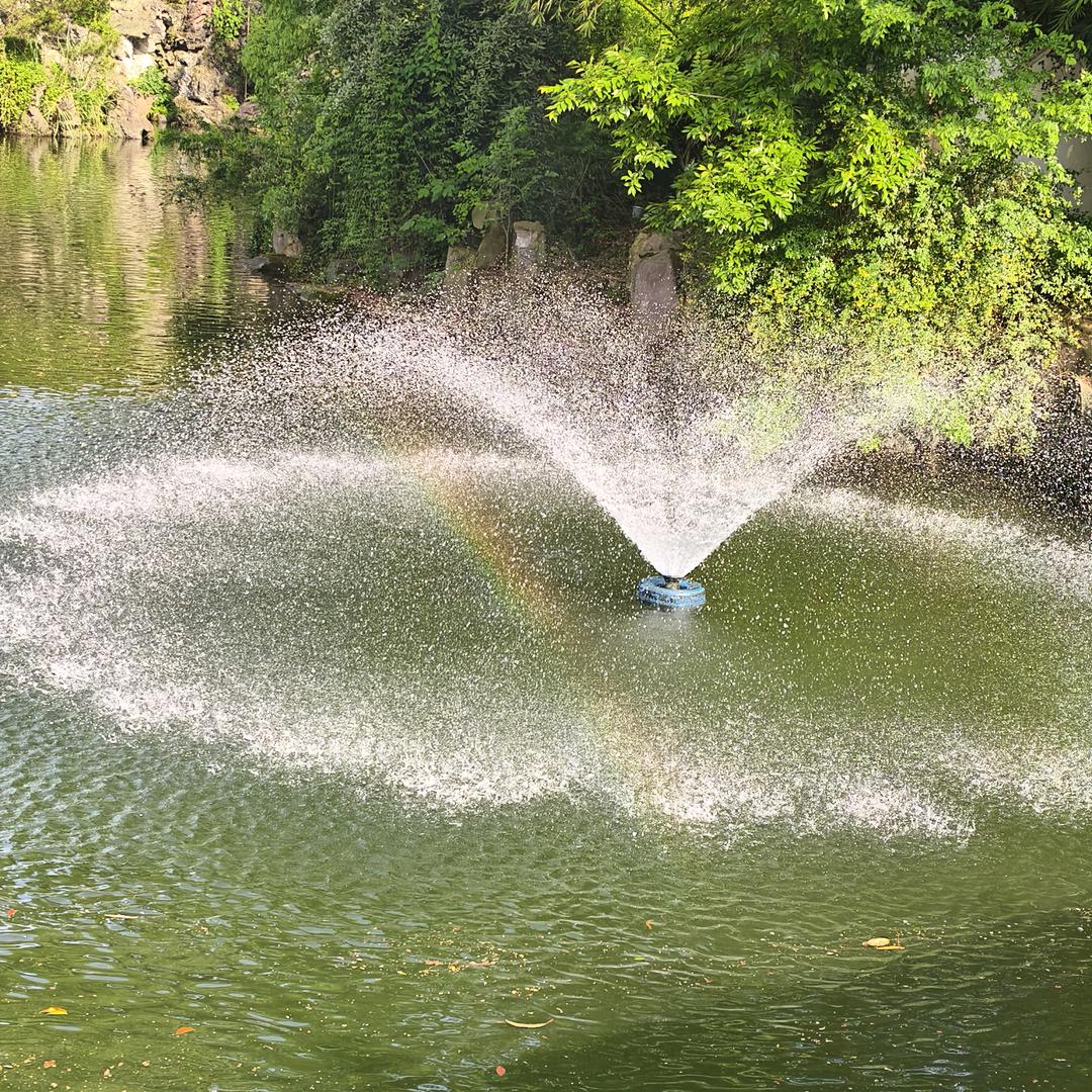 文家六小姐(你个老六)