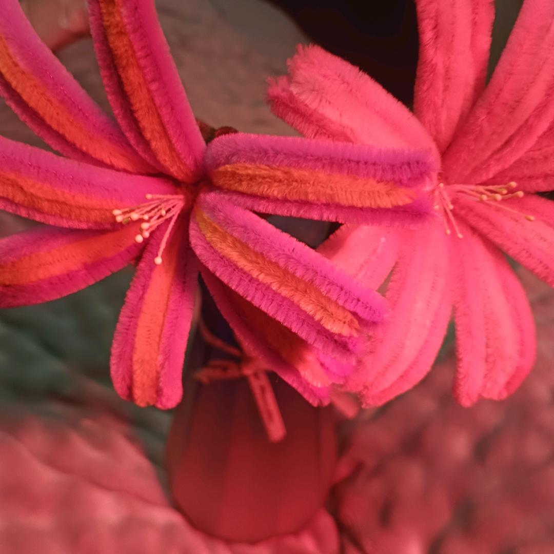 巴村家电朱新业