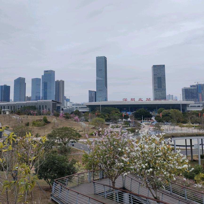 飞哥小群