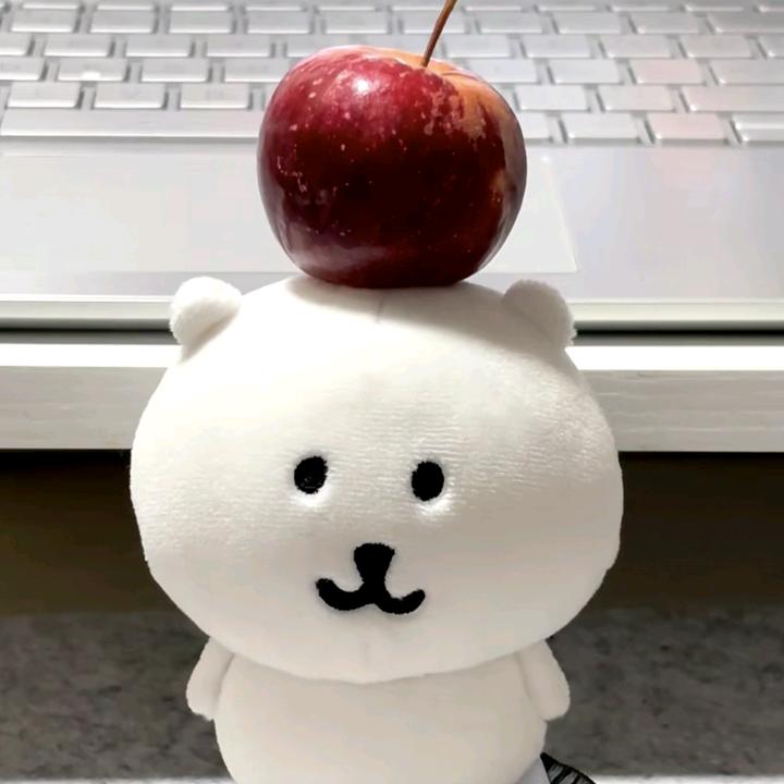 自然卷小金