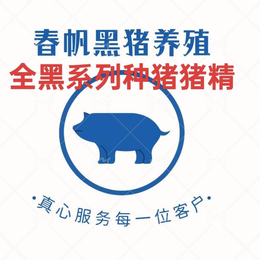 春帆专业黑猪养殖基地