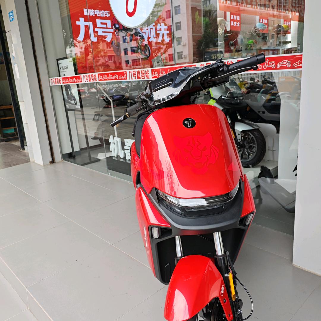 娟娟(九号)