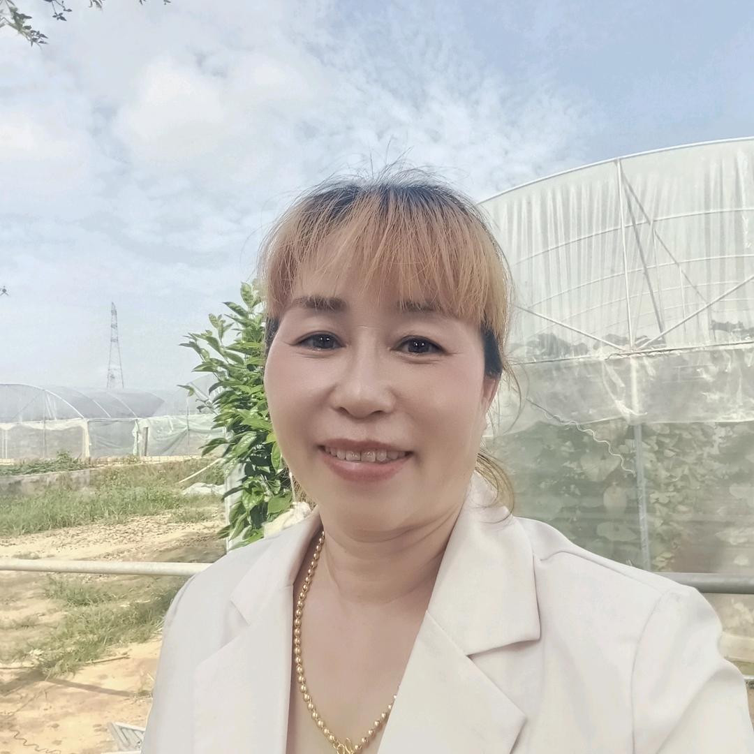 阿丽