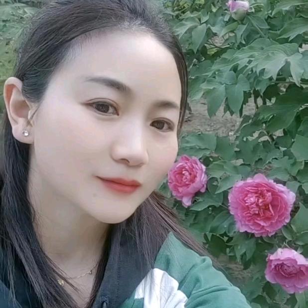 新菀