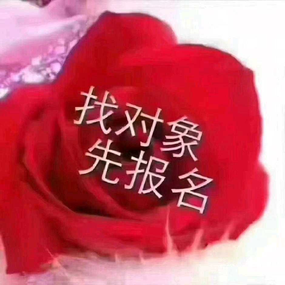 乡村红娘林大姐