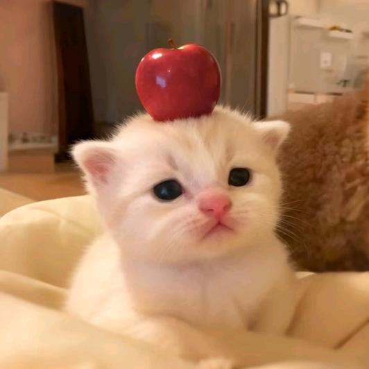 临期𝐂𝐆𝐔𝐂𝐈.🥥