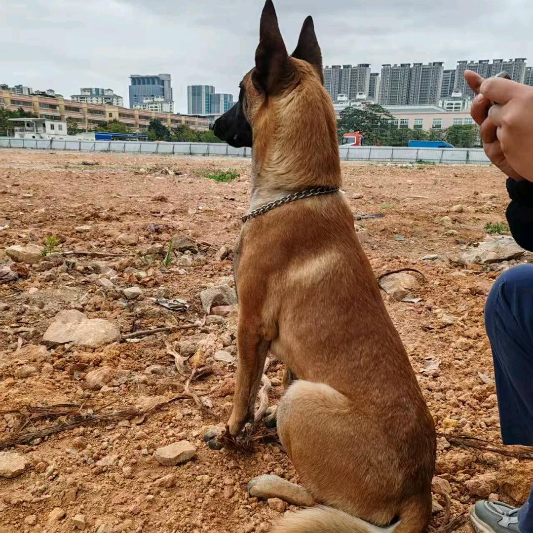 妖小儿科