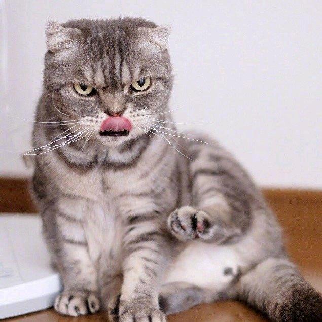 小王