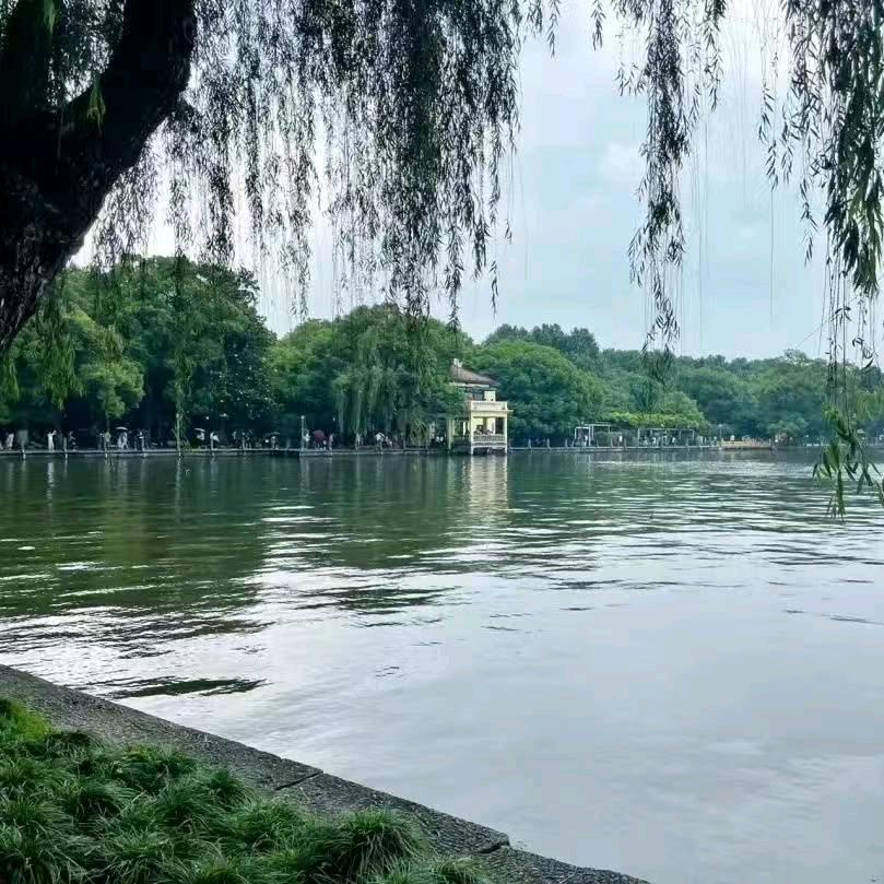 愿所有美好奔你而来