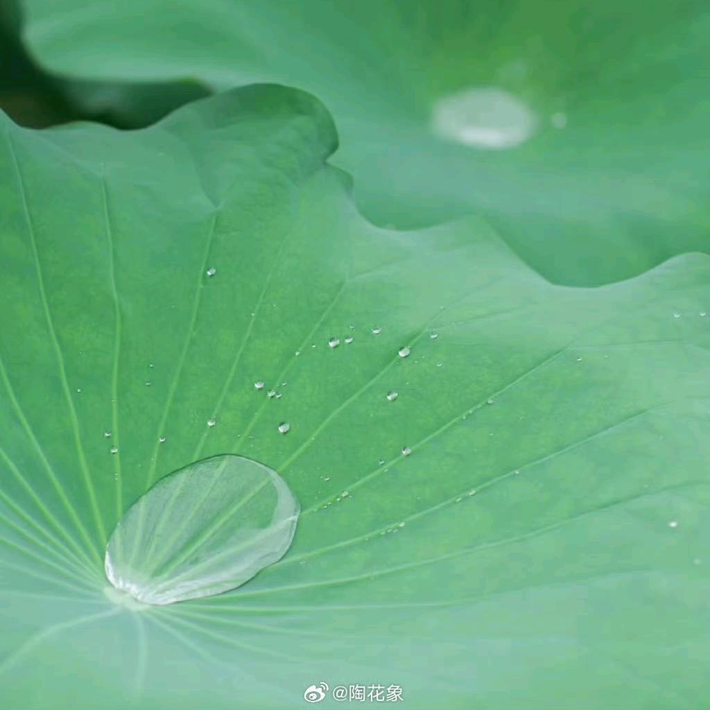 米禾宝贝