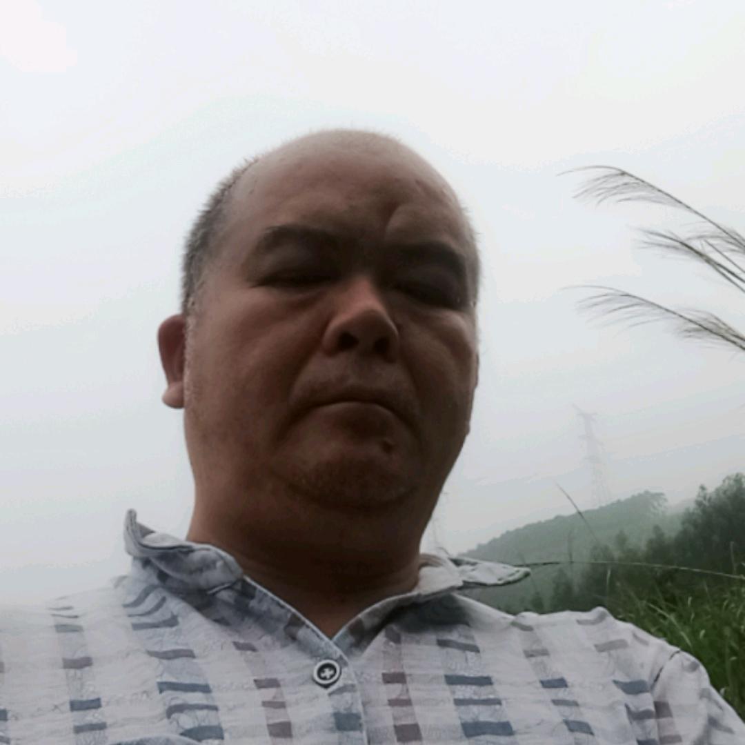东刚岒屯，龙弟