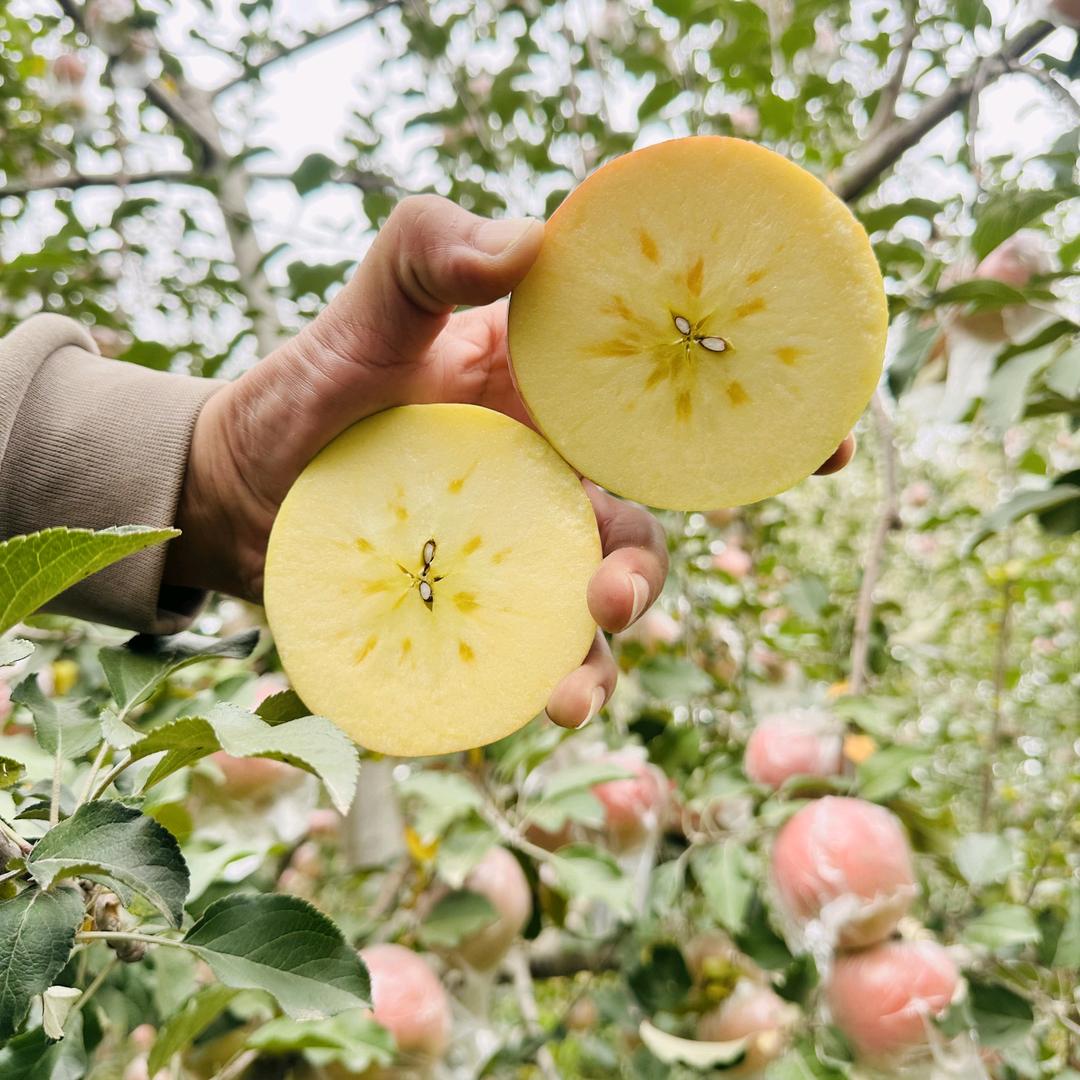 卖水果的小郗，爱好钓鱼
