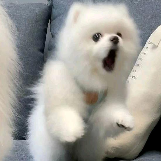 醒醒
