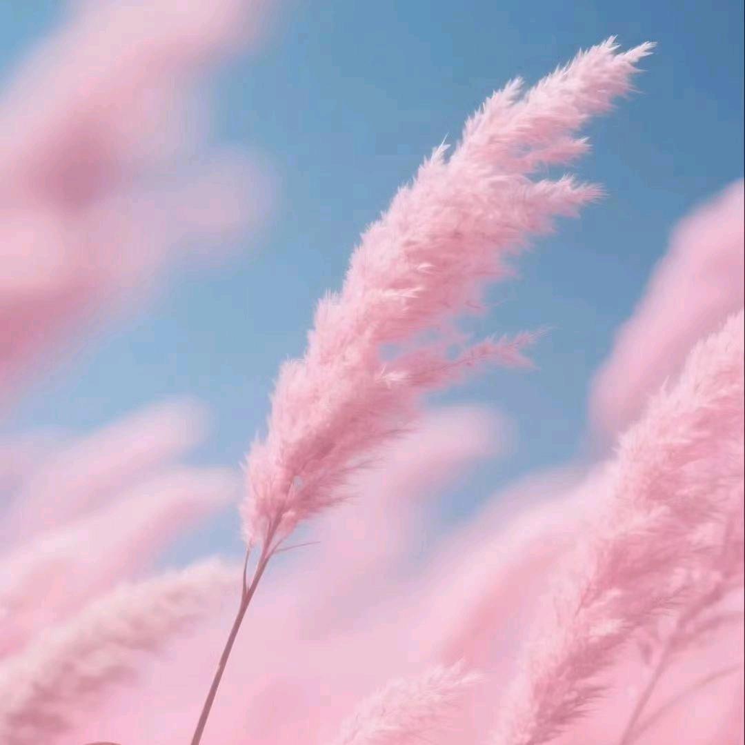 🌱ᐝ小拾ᨶ႒ᩚ光☁࿐