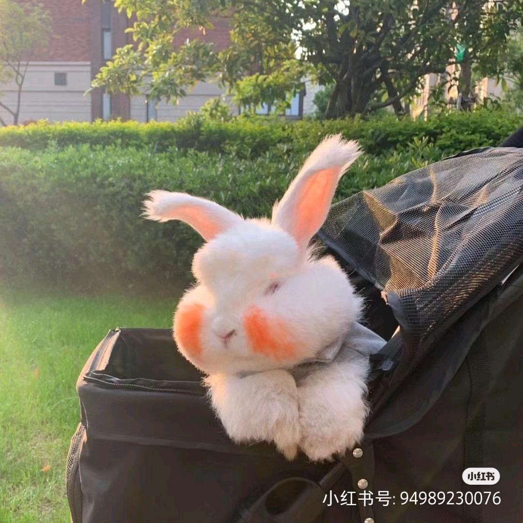 退后&