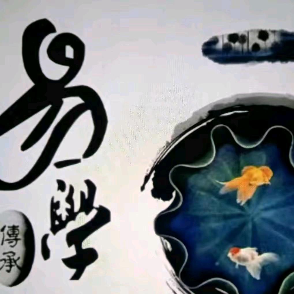 易褂@6
