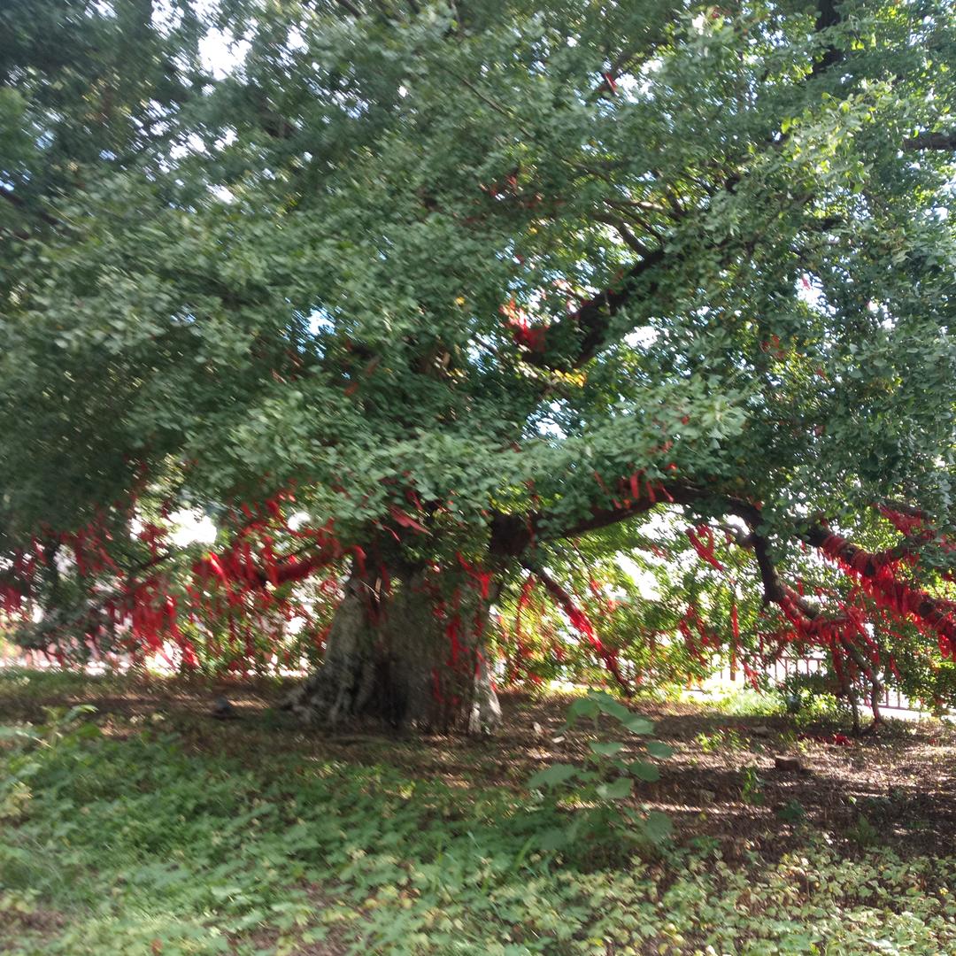 迎接明天的太阳☀️