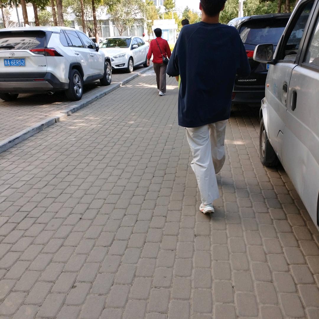 沾化供销，农资