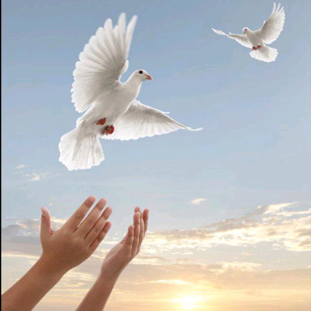 人生如戏-全靠演技