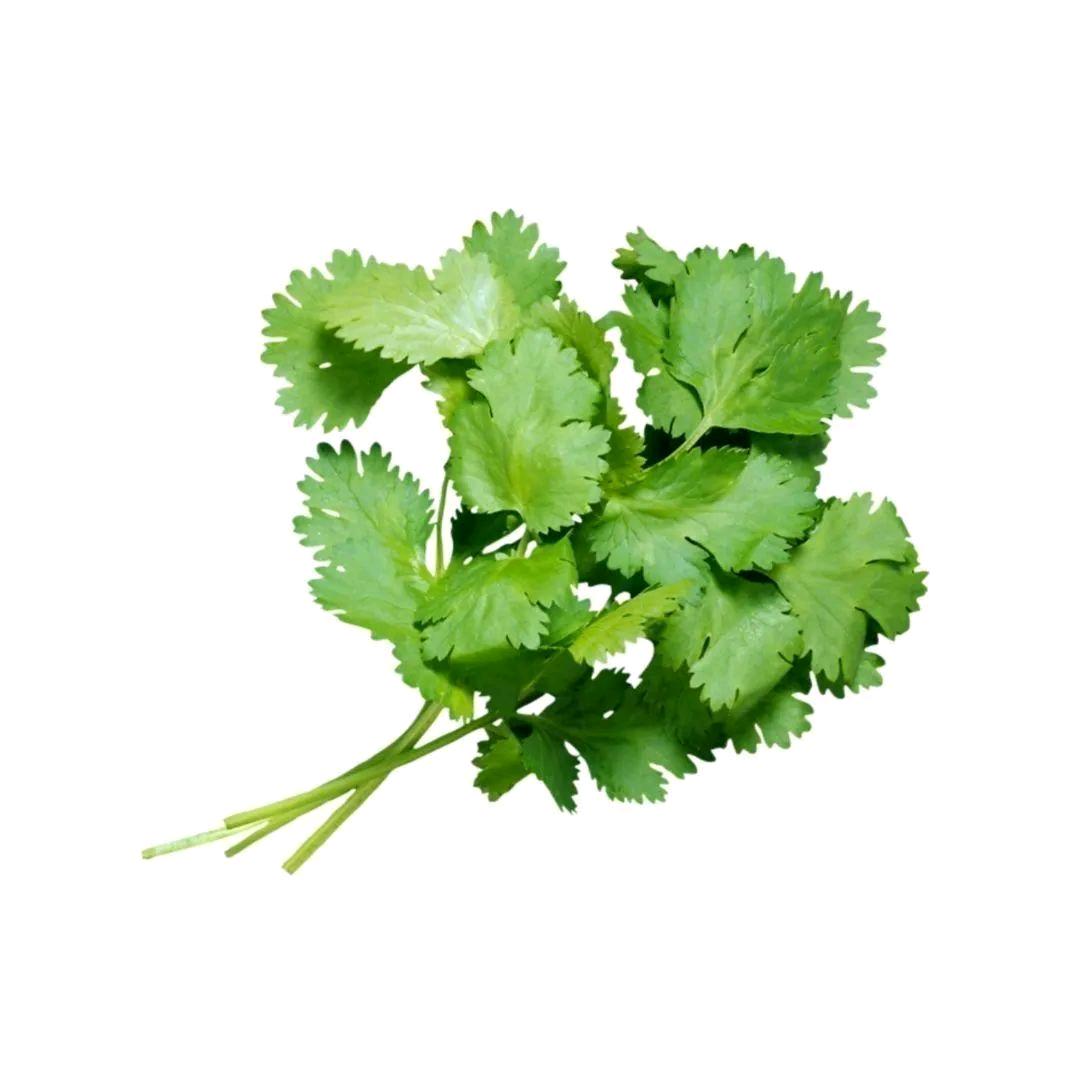 又长苔藓了