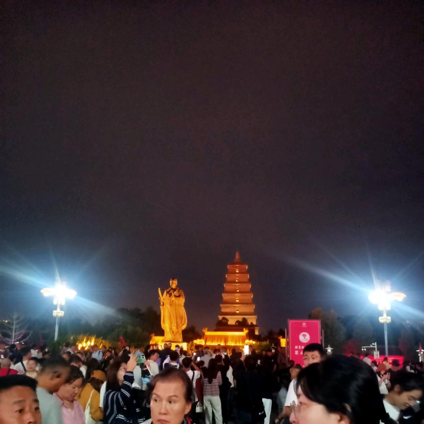 舍之有道 仙人掌