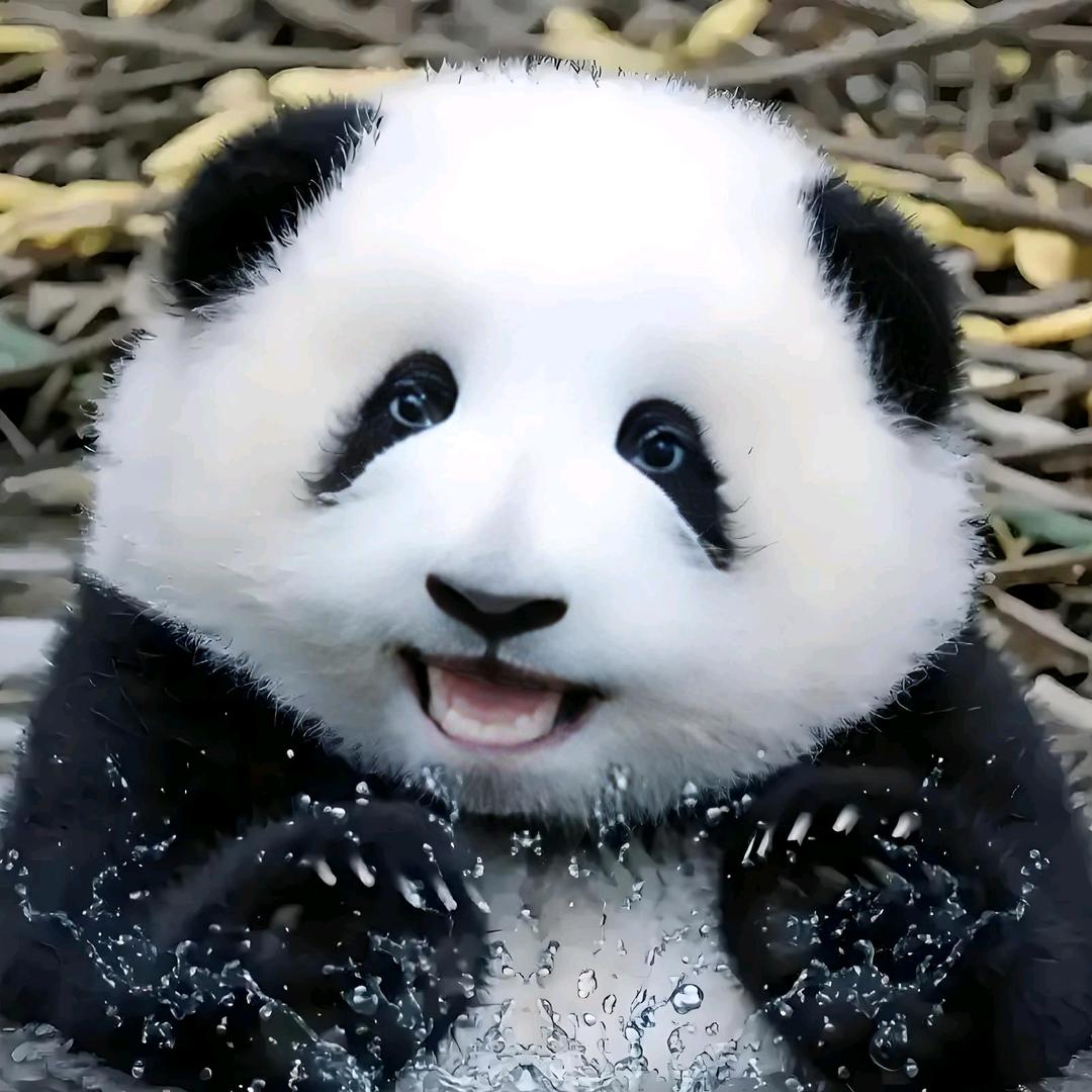 এ᭄风中追风࿐